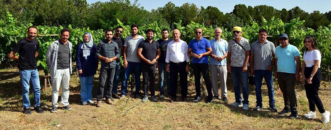 Sertifikalı Bağ Entegre Mücadele Hizmet İçi Eğitimi Verildi