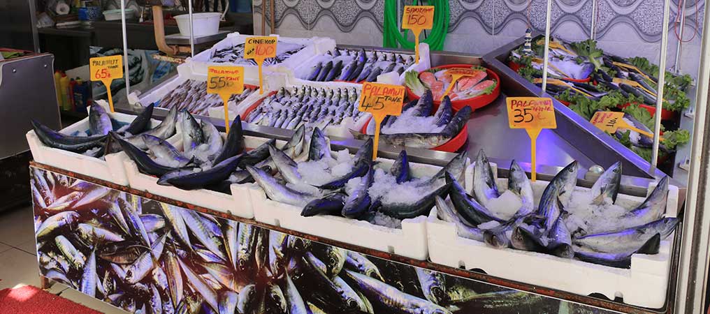 Hamsi 70 TL’den Tezgâhlarda