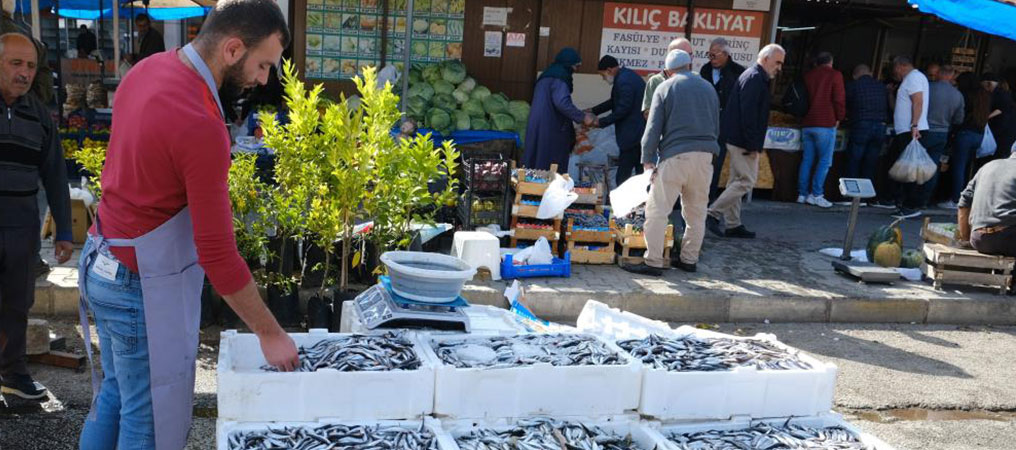 Hamsi Kilosu 50 TL’den Tezgâhlarda
