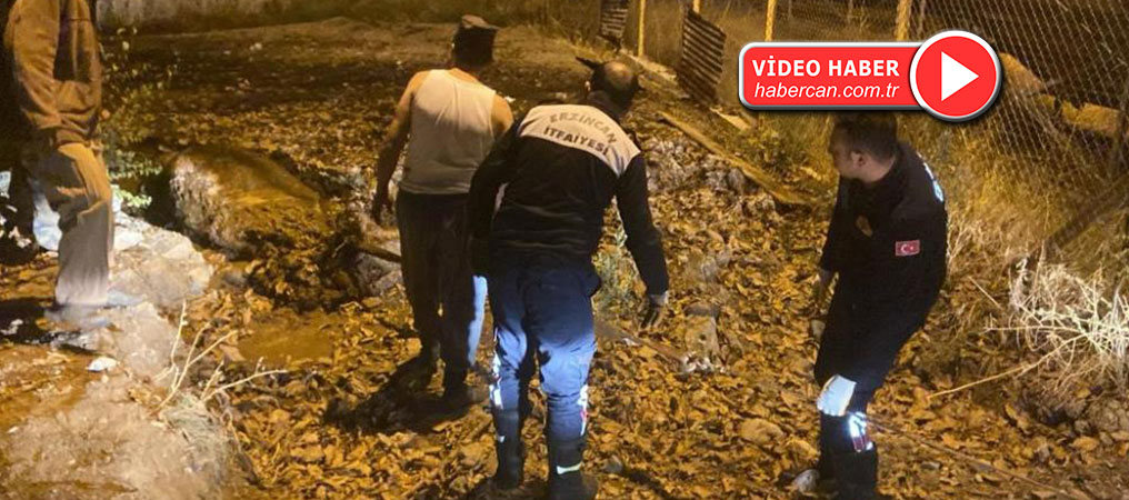 Hayvan Gübresine Batan İnek İtfaiye Ekiplerince Kurtarıldı
