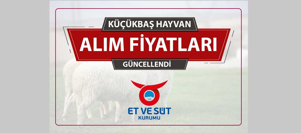 KUZU TOKLU ALIM FİYATI KİLOGRAM BAŞINA 90 LİRAYA ÇIKARILDI