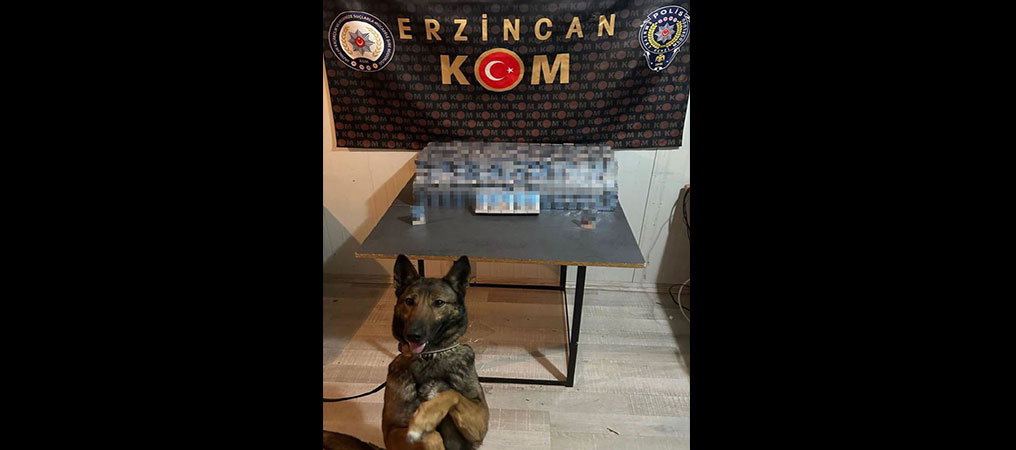 Kaçak Sigaralar Dedektör Köpeği HERA’nın Gözünden Kaçmadı