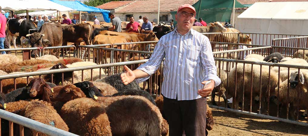 Karakuş, Hayvan Alışverişi Durma Noktasında