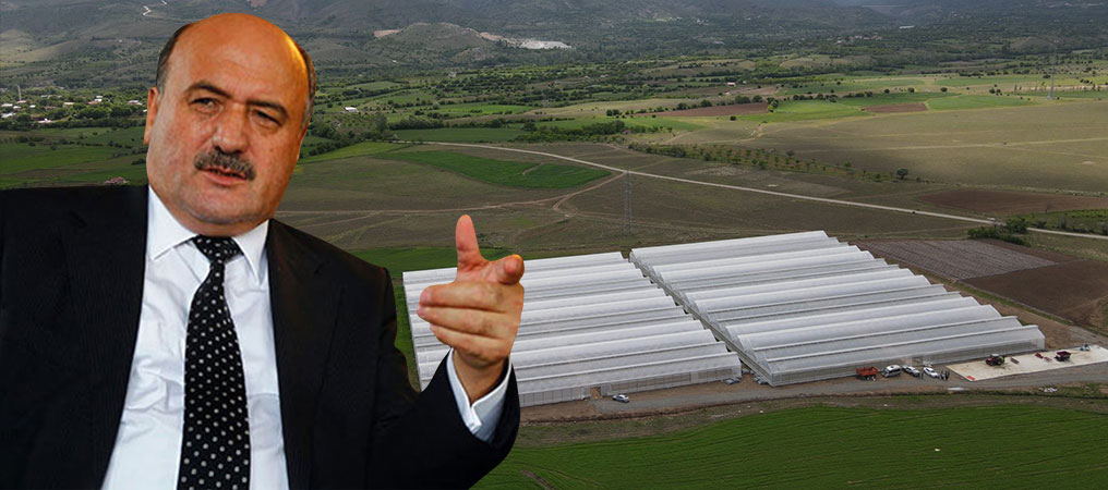 Karaman, 2024 Yılı Erzincan İçin Sera Yılı Olarak Yılı Olacak