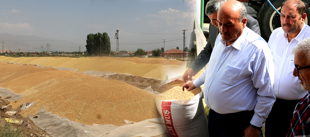 Karaman, TMO’da Buğday Alımına Katıldı