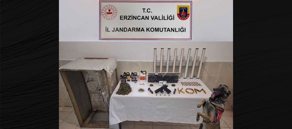 Kemaliye’de Evinde Uyuşturucu Yetiştiren Kişi Gözaltına Alındı