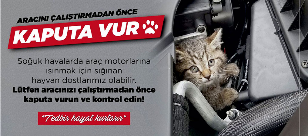 Aracı Çalıştırmadan Önce Kaputa Vur!