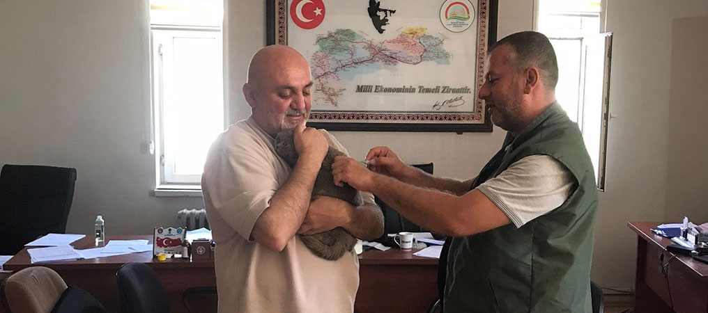 Kuduz Aşılaması Ücretsiz Olarak Yıl Boyunca Sürecek