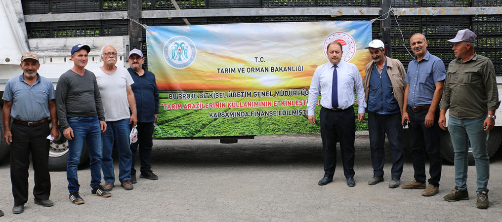 Kışlık Sebze Fideleri Toprakla Buluştu