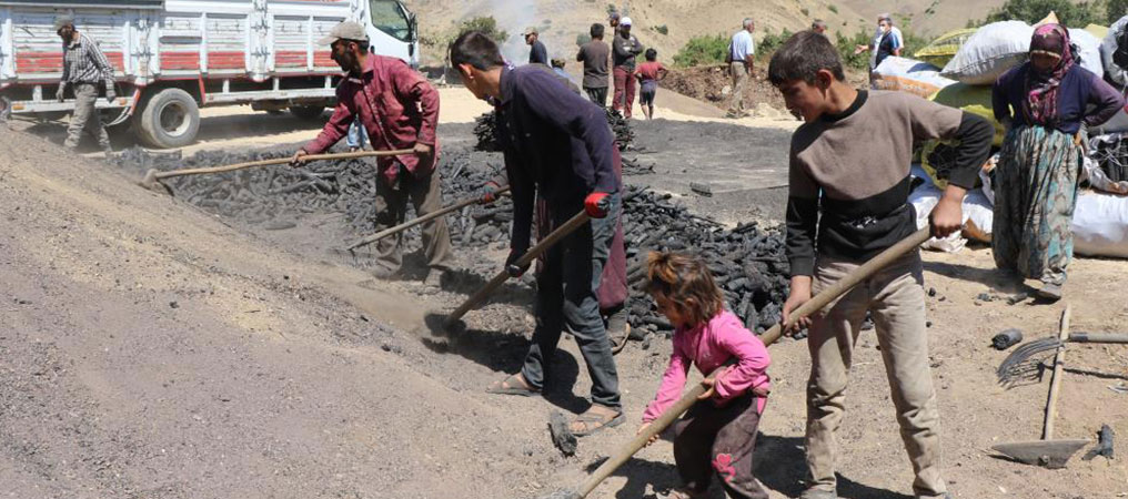 Mangal Kömürü Üretmek İçin Gece Gündüz Mesai Yapıyorlar