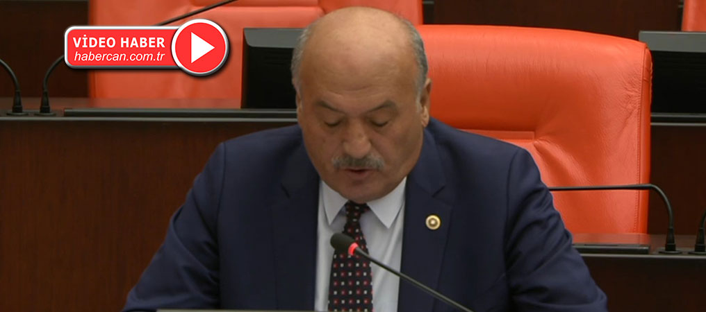 Milletvekili Karaman, TBMM’de  Genel Kurula Seslendi