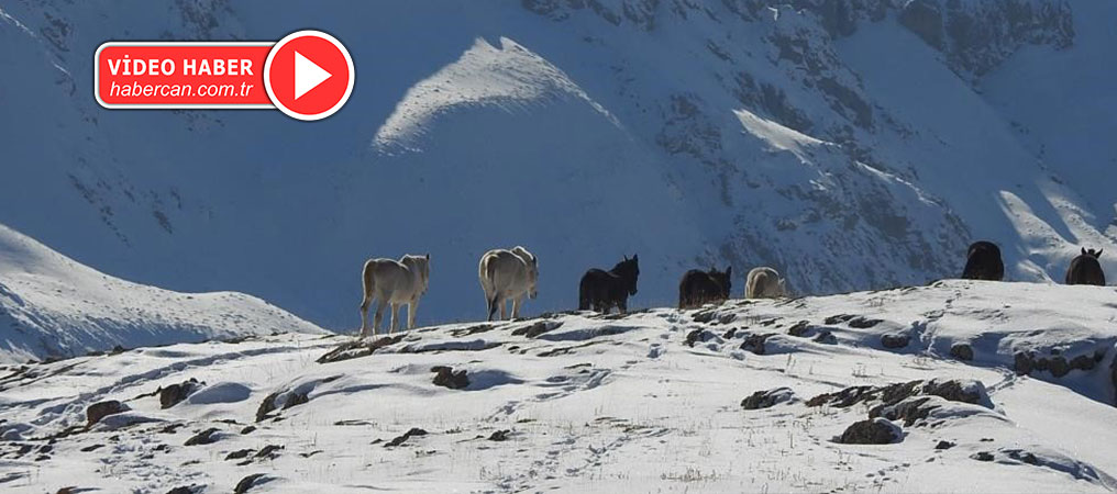 Munzur Dağlarında ki 