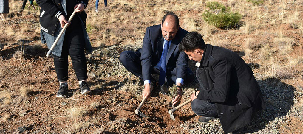 Öğretmenler Fidan Dikti