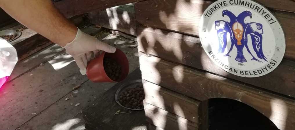 Sokak Hayvanlarına Yönelik Yemleme Çalışması Yapıldı