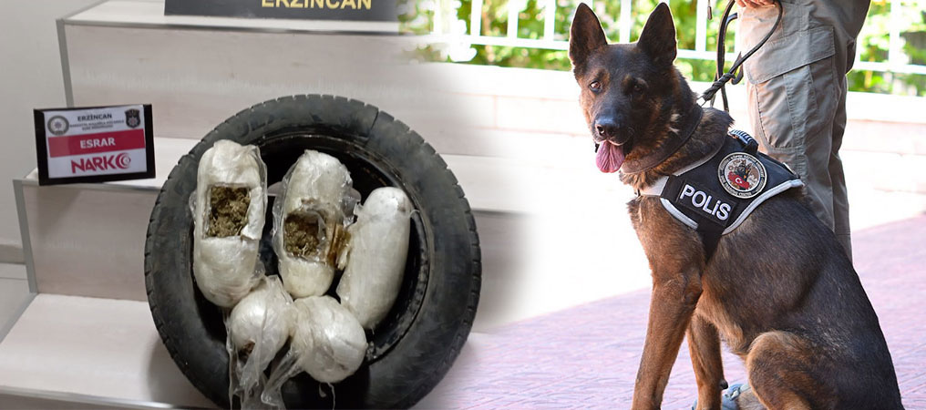 Stepneye Saklanan Uyuşturucu Narkotik Köpeği ‘ODİN’den Kaçmadı