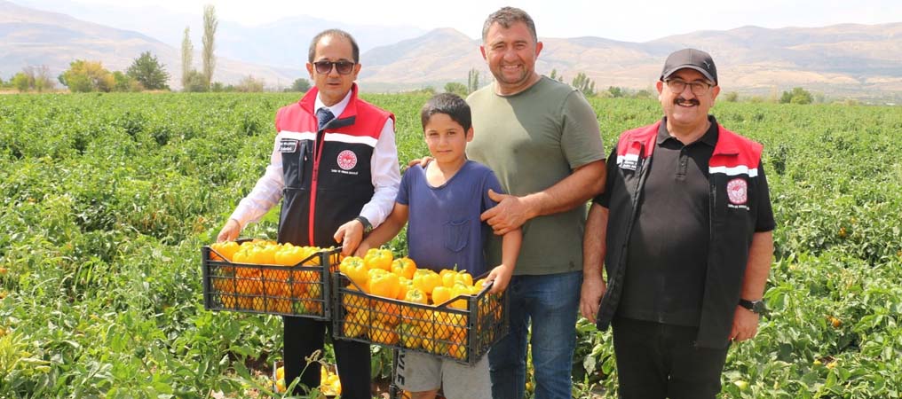 Şili, Kaliforniya, Jalapone… Hepsi Erzincan’da