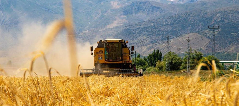 Tarım ve Hayvancılık Destekleri Artırıldı: Karar Resmi Gazetede
