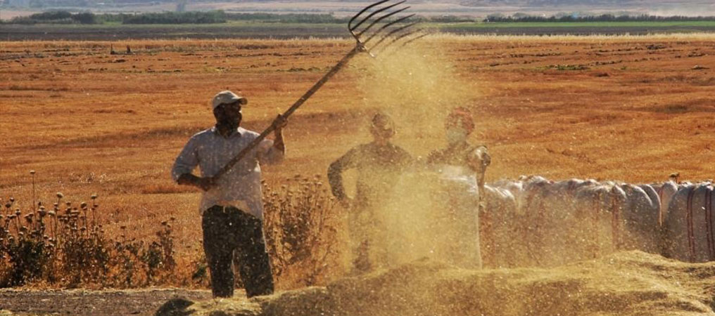 Tarımsal Girdi Fiyat Endeksi Bir Yılda Yüzde 112,41 Arttı