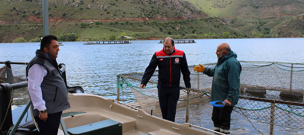 Tercan’da Kafes Balıkçılığı Yaygınlaşıyor: Yıllık Üretim Kapasitesi 3 Bin Tonu Aştı