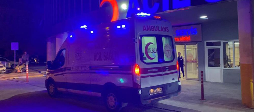 Tercan’da Trafik Kazası: 7 Yaralı