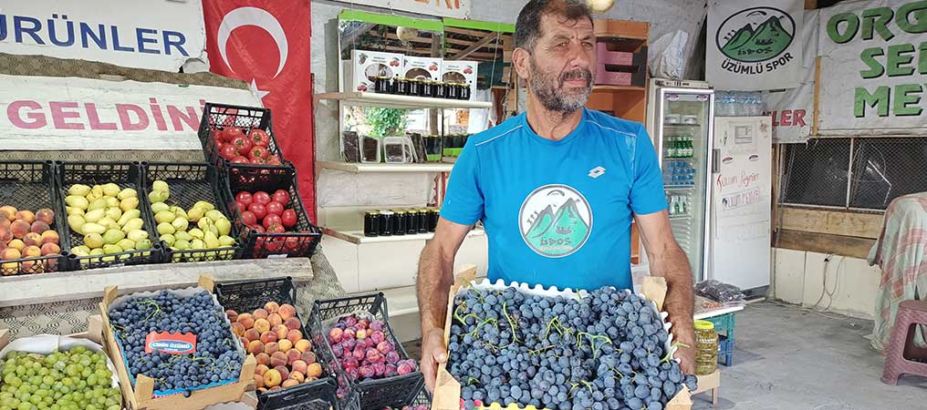 Tescilli Cimin Üzümü Tezgâhta Yerini Aldı 