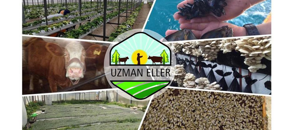 Uzman Eller Projesi Başvuru Sonuçları Açıklandı