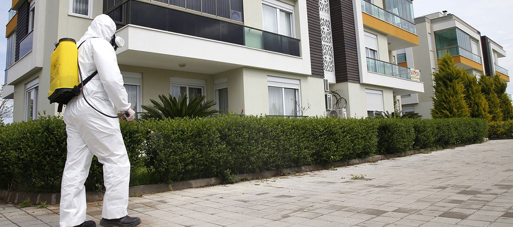 Uzmanı Uyardı: Haşerelere Karşı Gerekli Tedbiri Alın