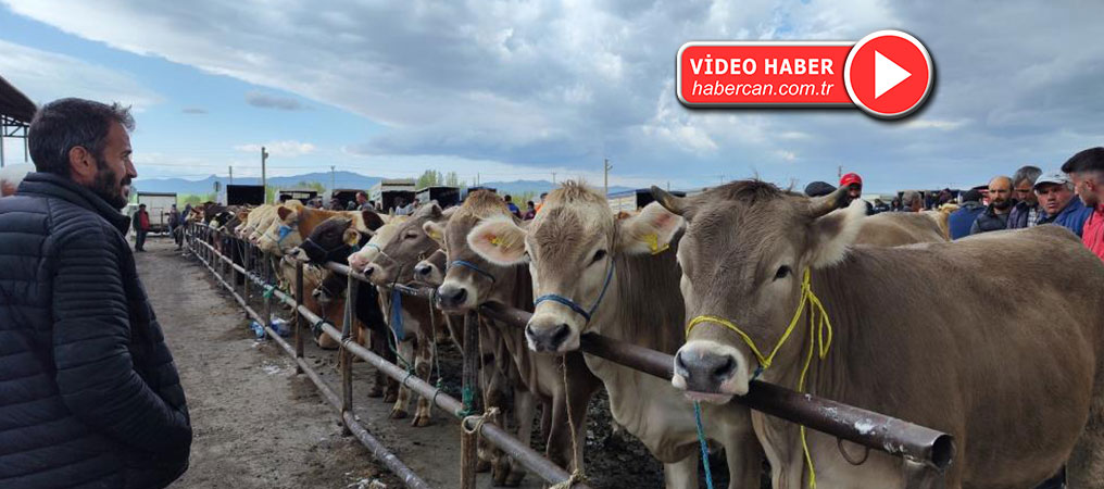 Uzmanı Uyardı, O Hastalık Ağızda Oluşan Lezyonlarla Kendini Gösteriyor