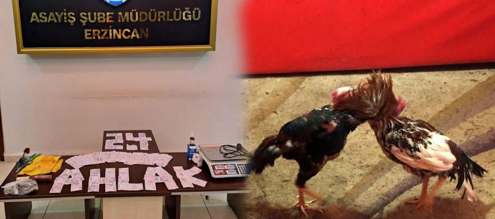 Villaya Şok Baskın! Horoz Dövüştüren 16 Kişi Yakalandı