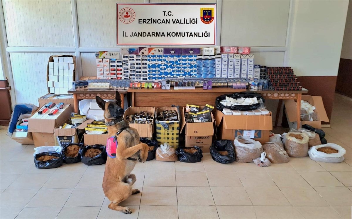 Erzincan İl Jandarma’dan Büyük Başarı: Kasım Ayı Faaliyetleri Açıklandı