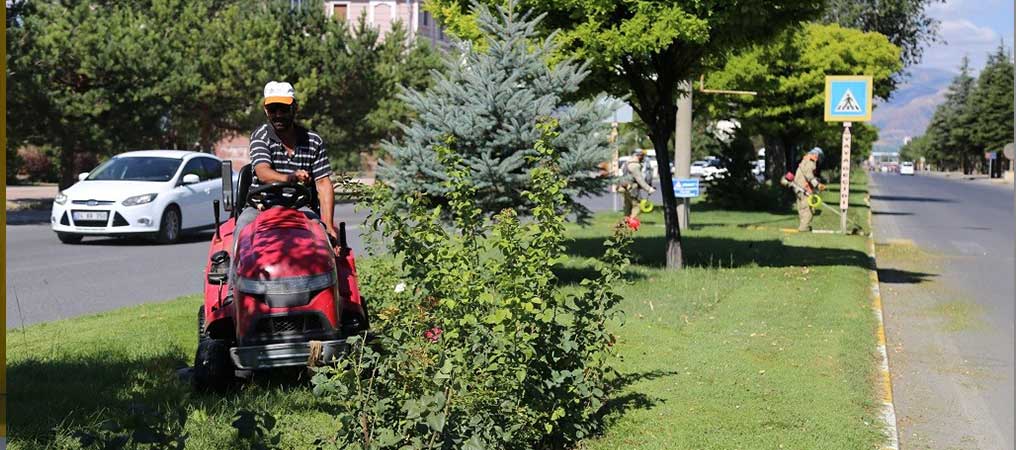 Yabani Ot Temizliği ve Çim Biçme Çalışmaları Sürüyor