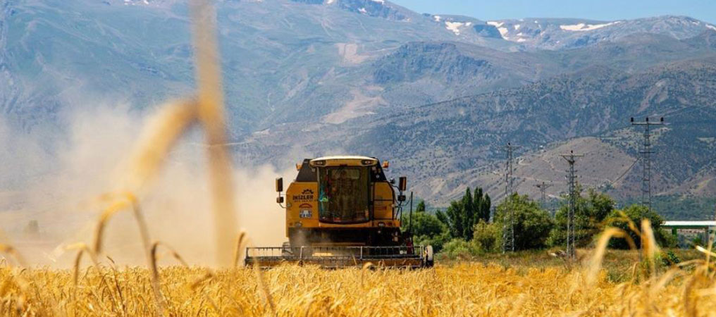 Yem Bitkileri Desteği Başvurularında 30 Haziran Son Gün