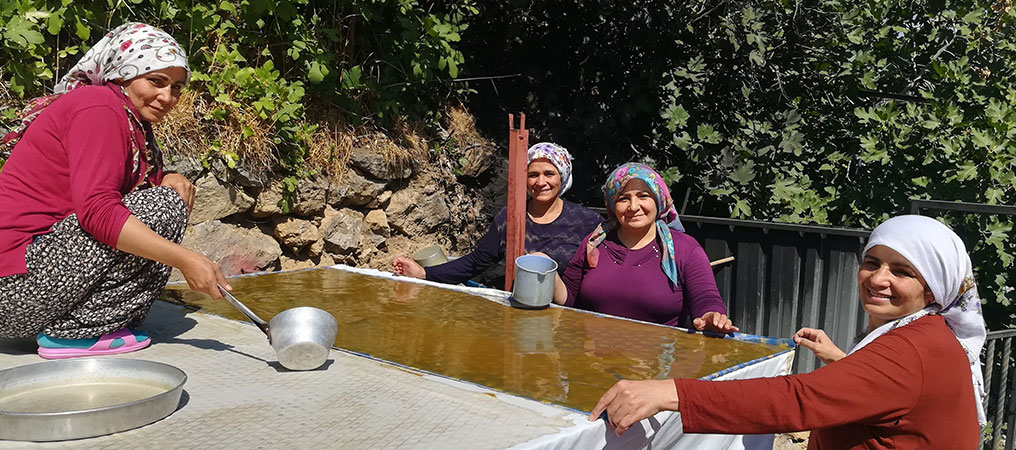 Yüzyıllardır Süren Geleneksel Yöntemlerle Pekmez Yapımı İmece Usulü Gerçekleştiriyor