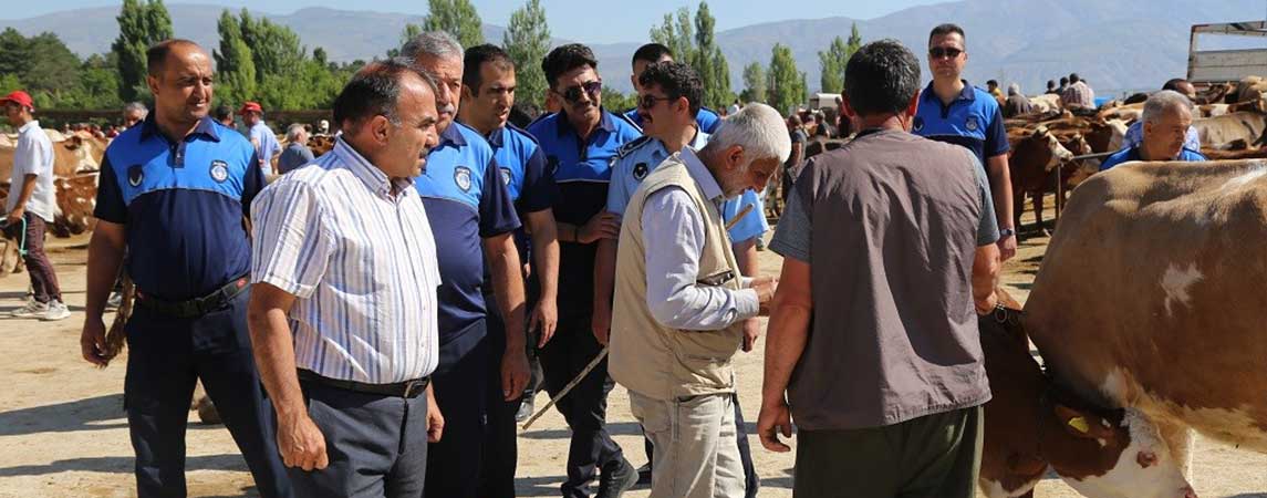 Zabıta Ekipleri Hayvan Pazarını Denetledi