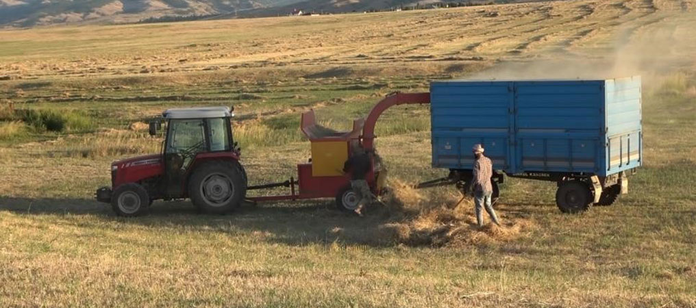 Şimdi Patos Zamanı: Dikkatsizlik Ağır Sonuçlara Neden Olabilir! 